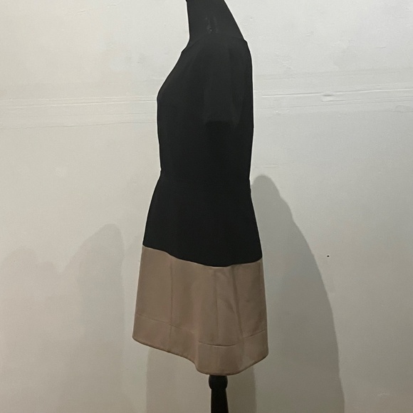 BCBG Black/Tan Colorblock Shift Dress - Picture 9 of 14
